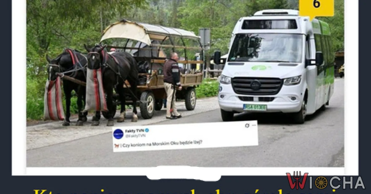 Koniec bicia konia nad Morskim Okiem!