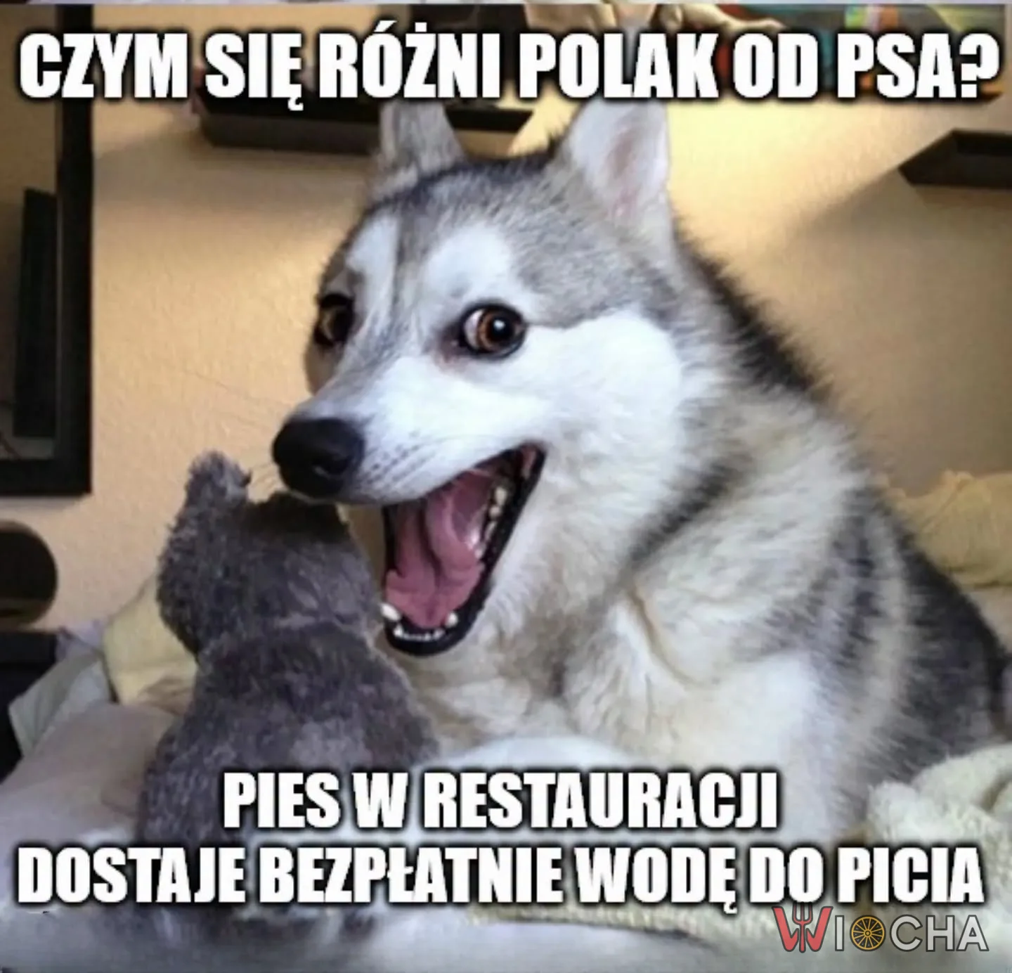 Polak nie dostaje wody za darmo