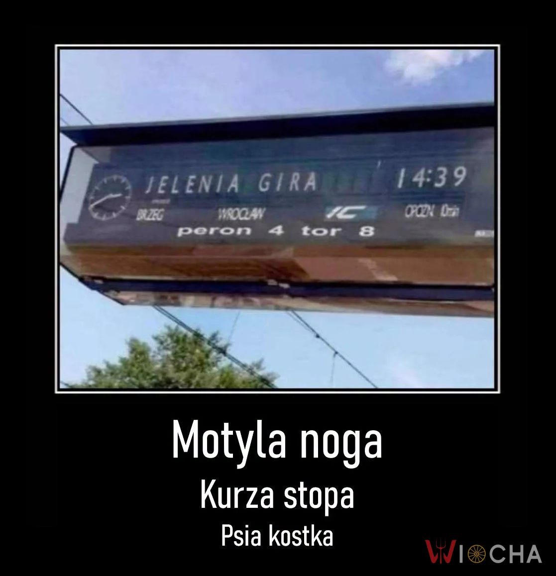 Motyla noga