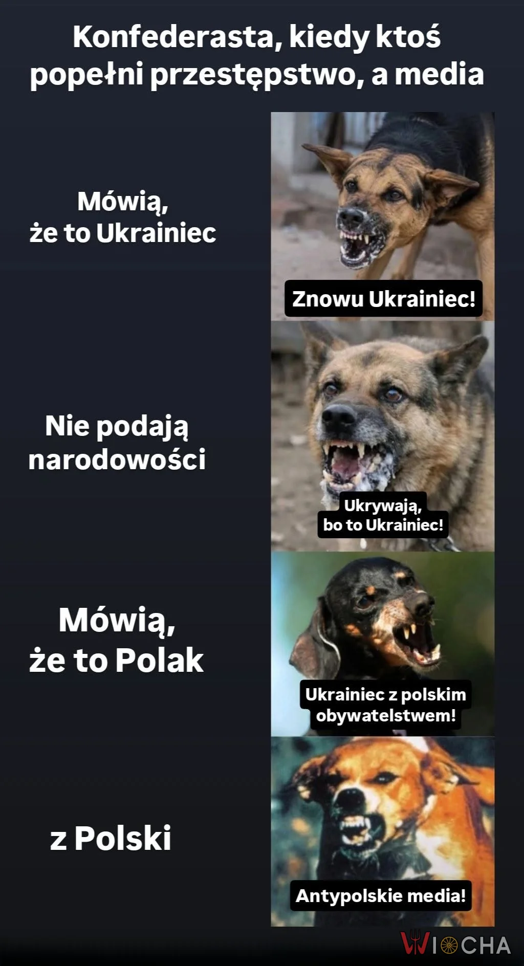 Kto tu jest Ukraińcem?