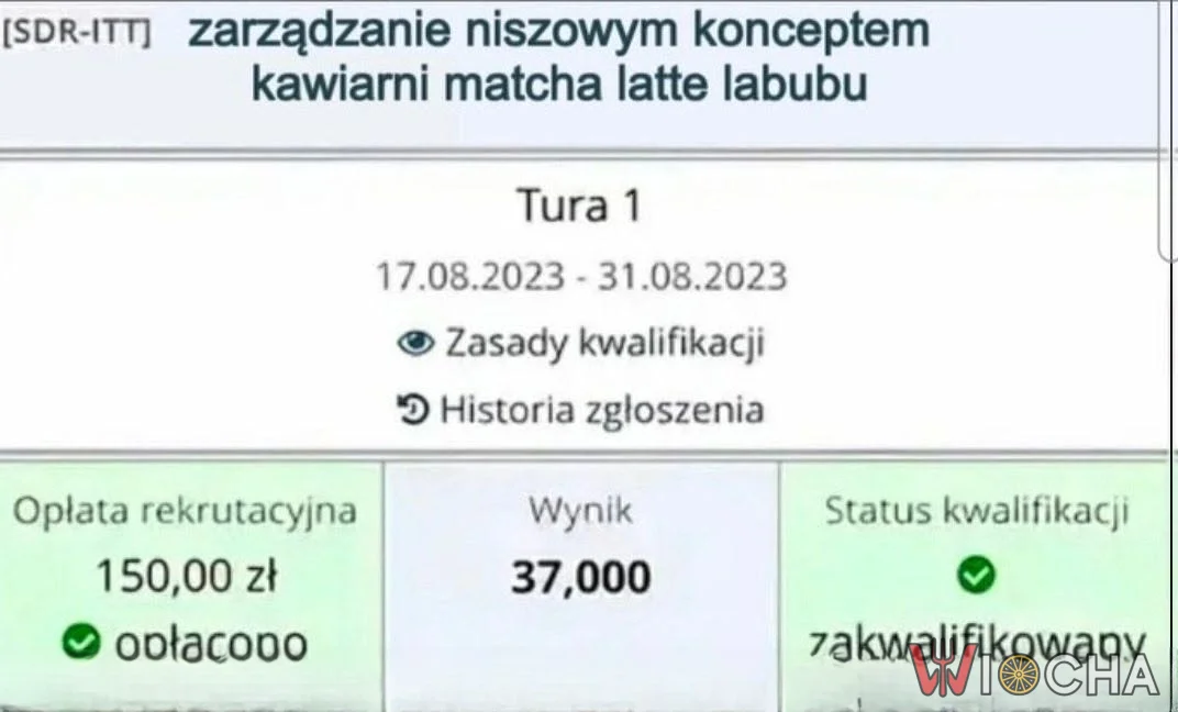 Najnowszy kierunek studiów - zarządzanie conceptem