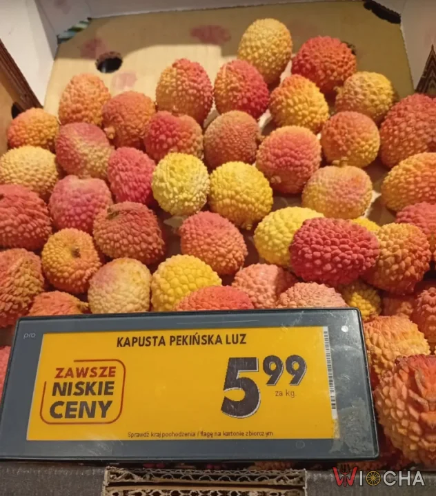 Kapusta pekińska w niecodziennej odsłonie