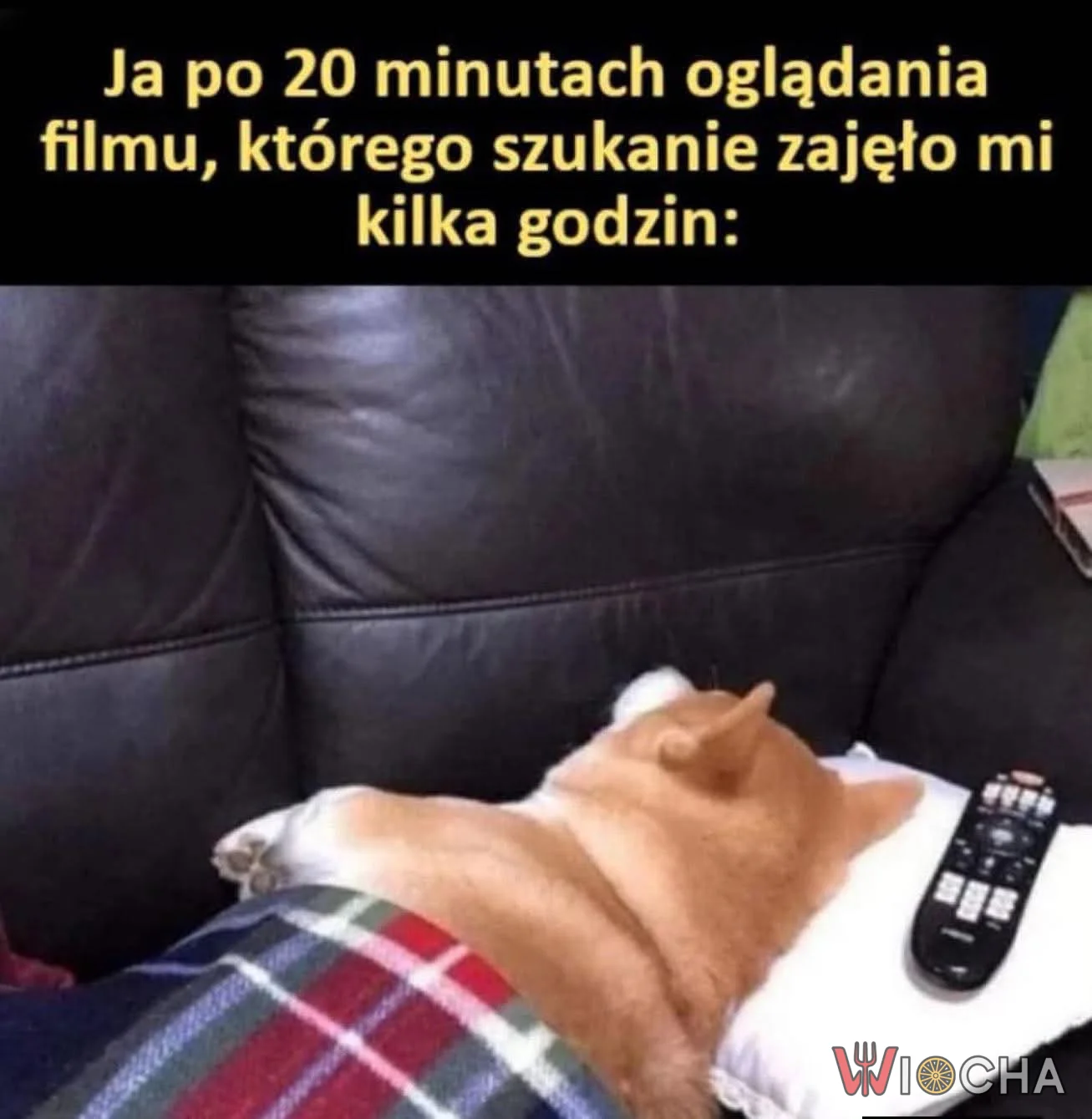 Najgorsze jest szukanie filmu