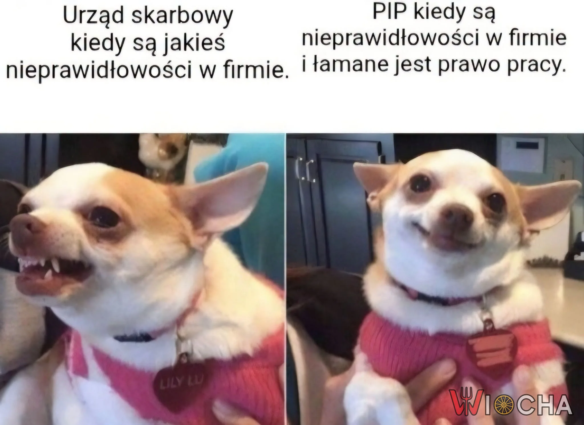 Kiedy przychodzi PIP... i nic się nie dzieje