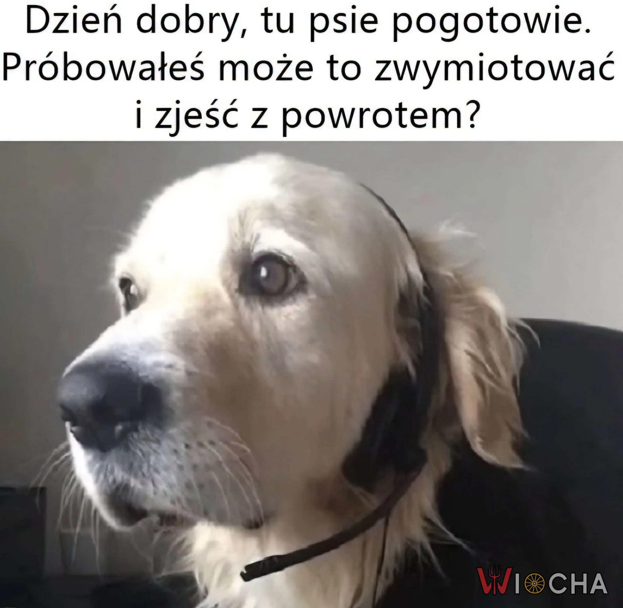 Świetny pomysł
