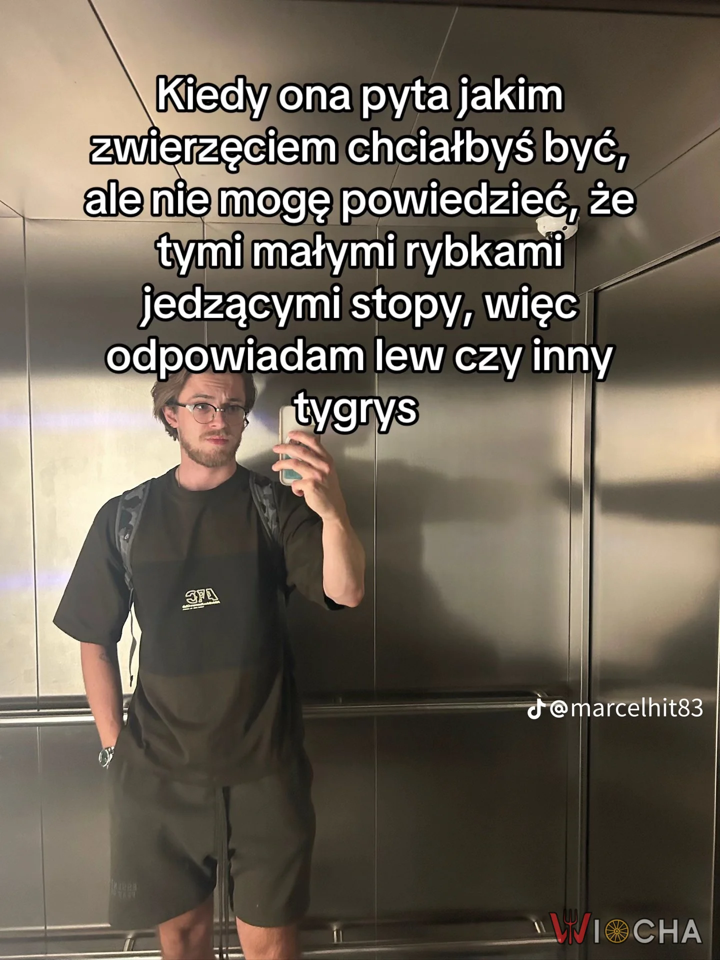 Lew czy inny tygrys