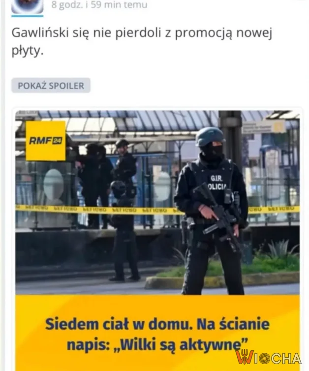 Wilki są aktywne