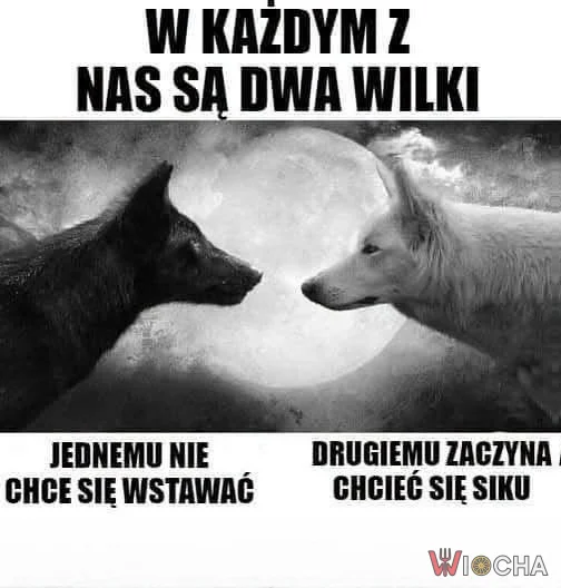 Wilki w każdym z nas