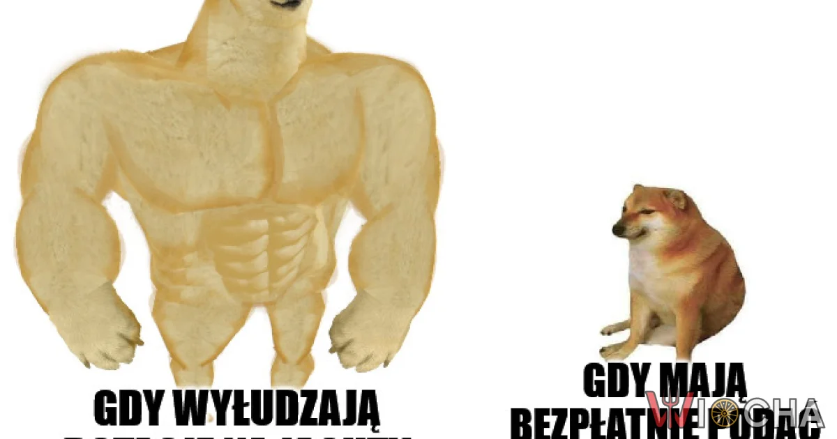 Dwa oblicza właścicieli gastro