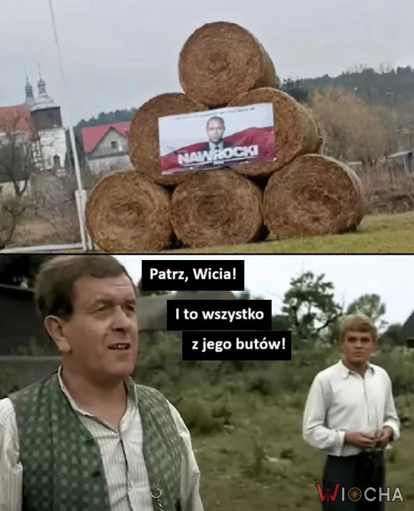Wicia, patrz