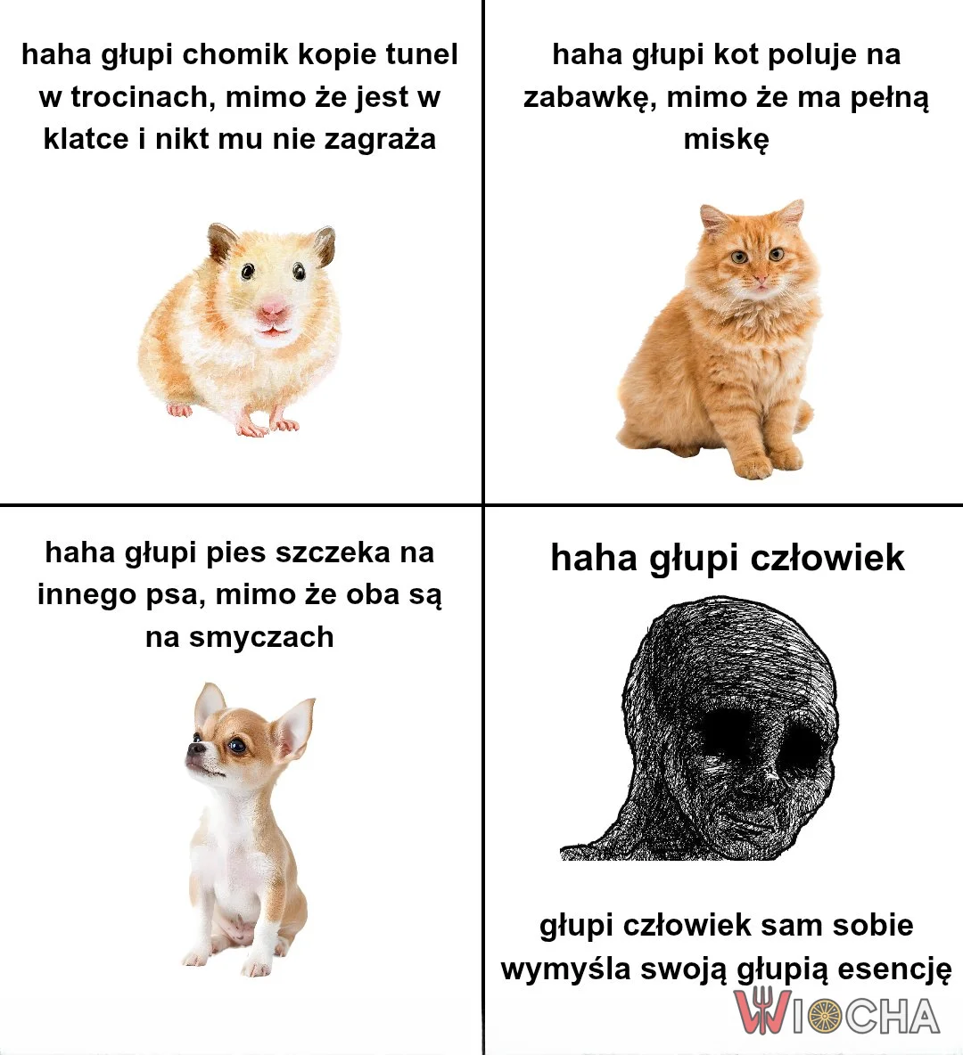 Hahaha głupi człowiek