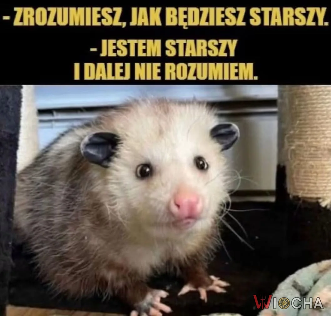 Nadal nie wiem