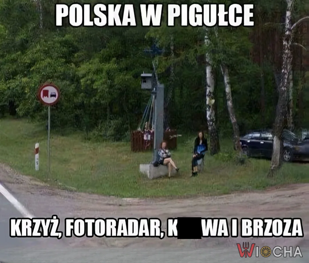 Polska w pigułce
