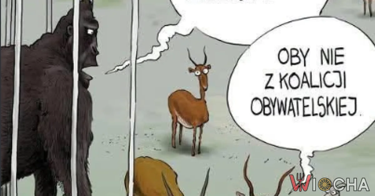Nowy szef w zoo?