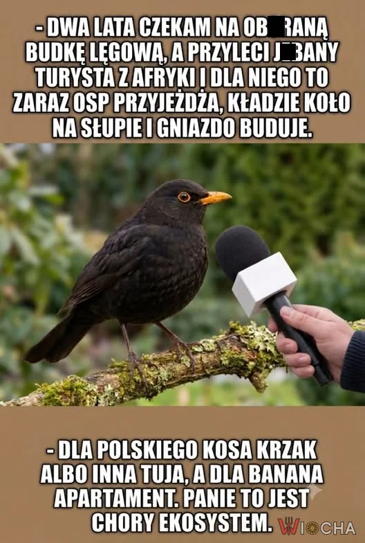 Polska gościnność przekroczyła granice?