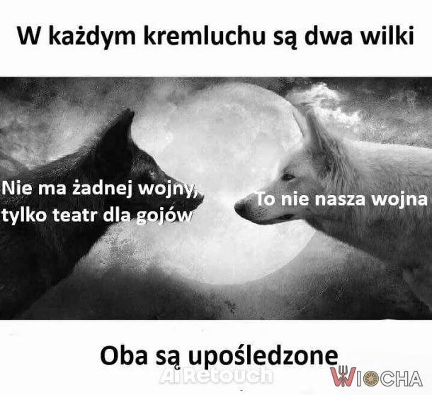 Dwa wilki