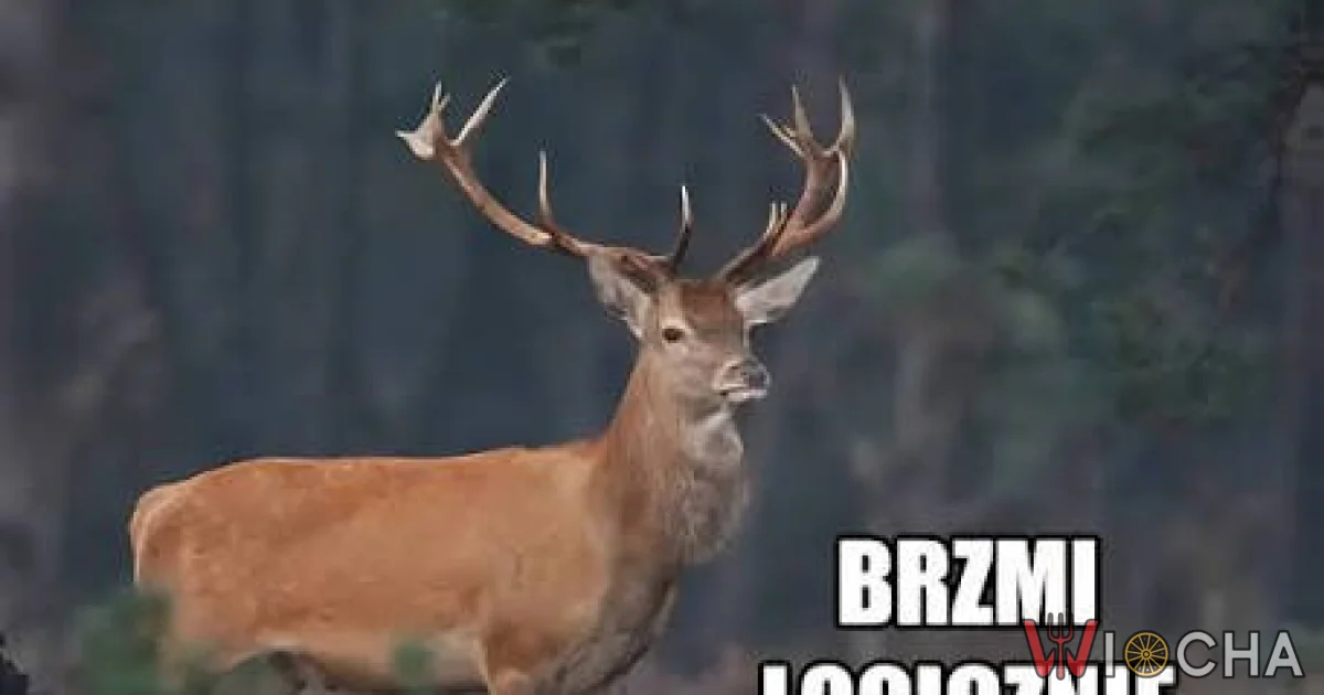 Logika w związku