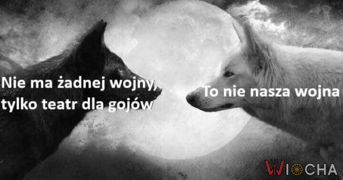 Dwa wilki