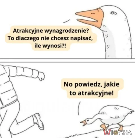 No powiedz!