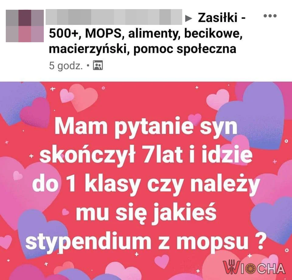 Kiedy MOPS to jedyna nadzieja