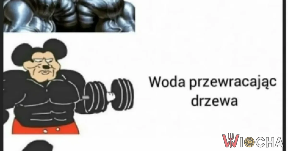 Siła wody w trzech odsłonach