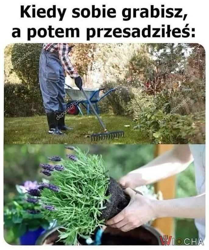 Nagrabił sobie