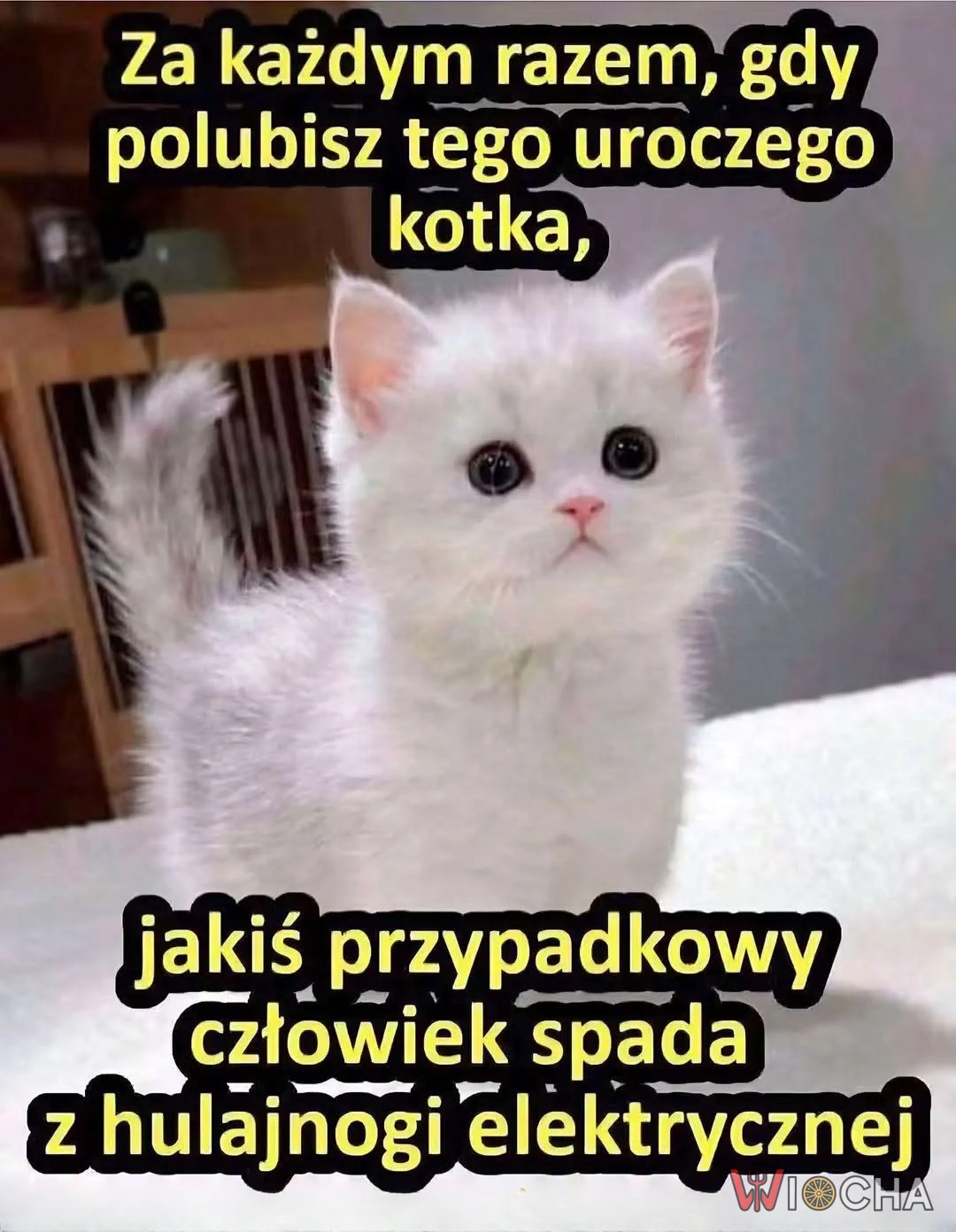 Kto się cieszy, ten lajkuje