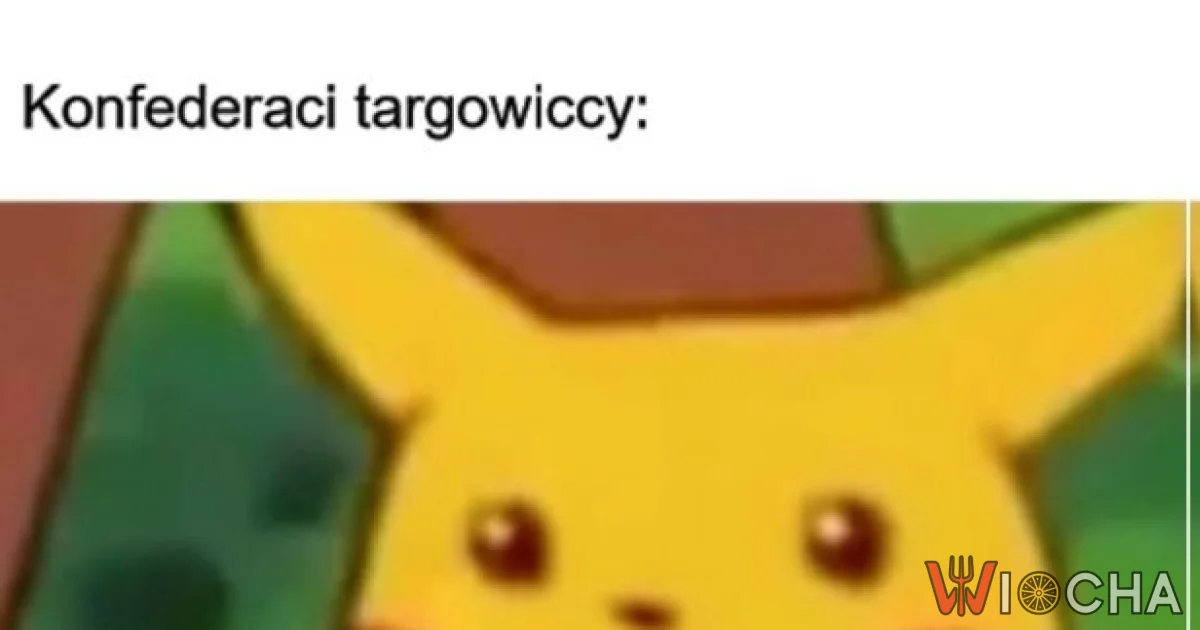 Konfederaci w szoku