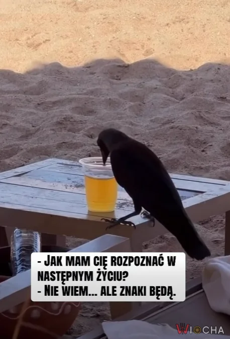 Będą znaki