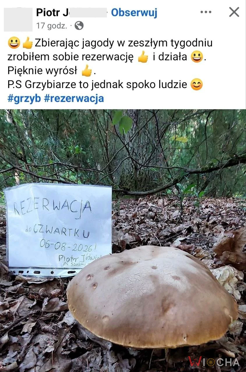 Zarezerwował grzyba kartką i wrócił po kilku dniach. Internet nie dowierza, że to zadziałało