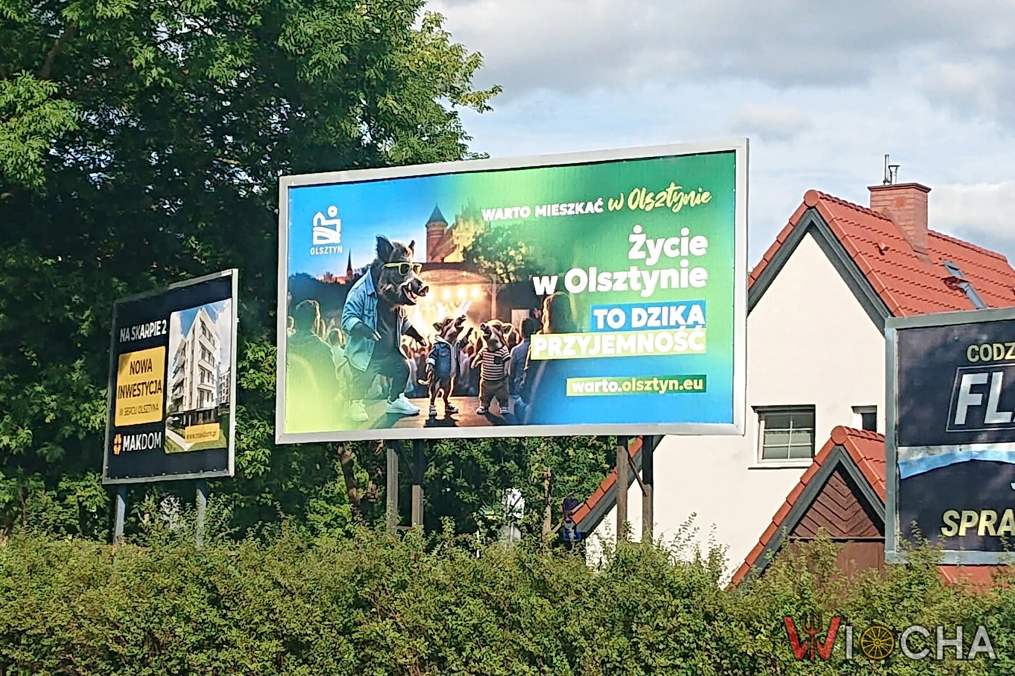Warto żyć dziko w Olsztynie?