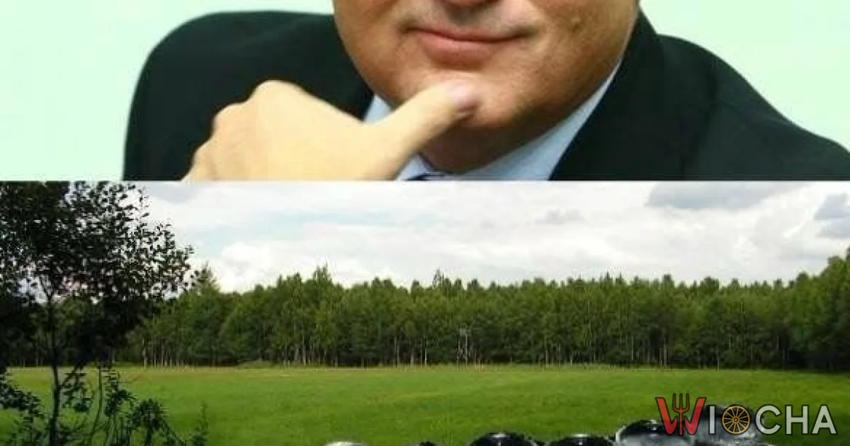 Polana w lesie