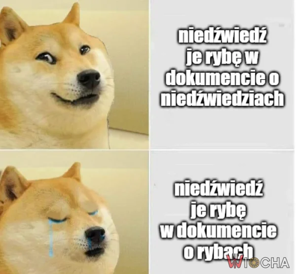 Dlatego nie lubię oglądać dokumentów przyrodniczych