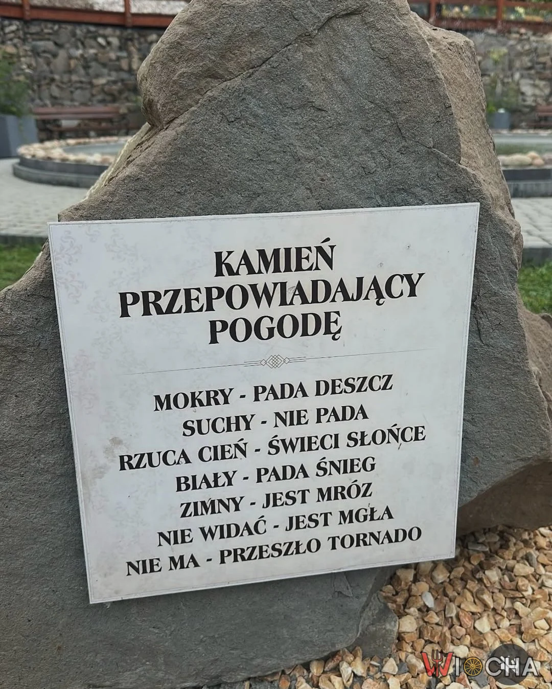 Mokry - pada deszcz