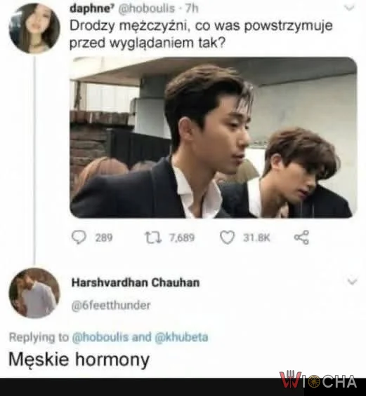 Męskie hormony w akcji