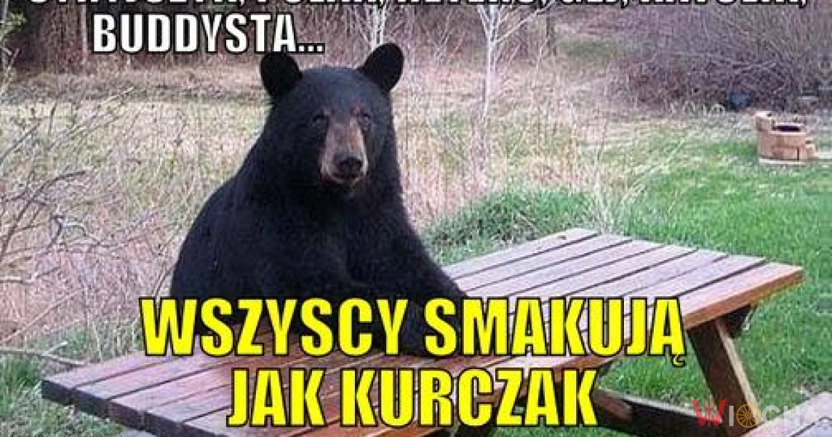 Wszyscy smakują jak kurczak