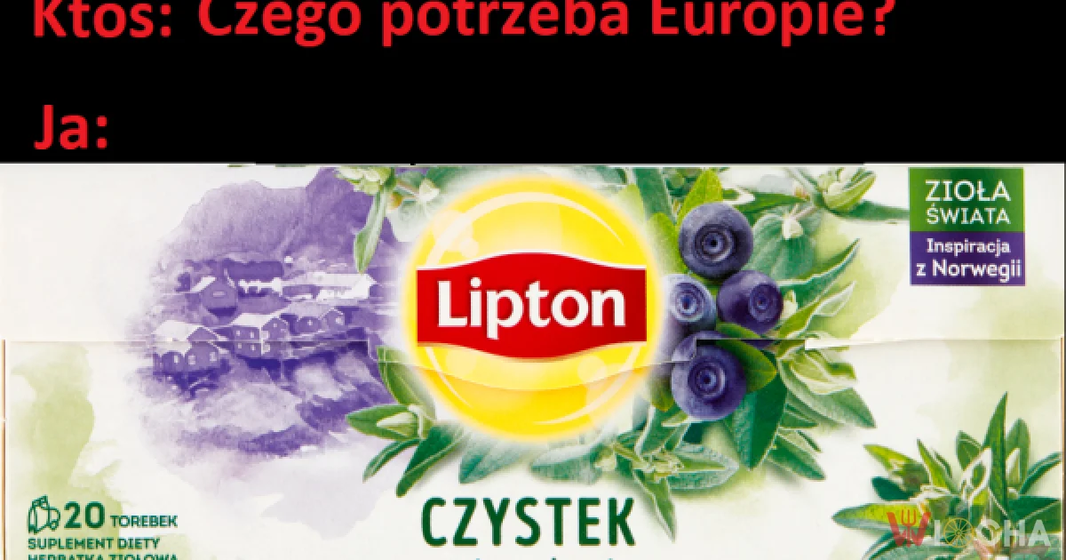Czego potrzebuje Europa?