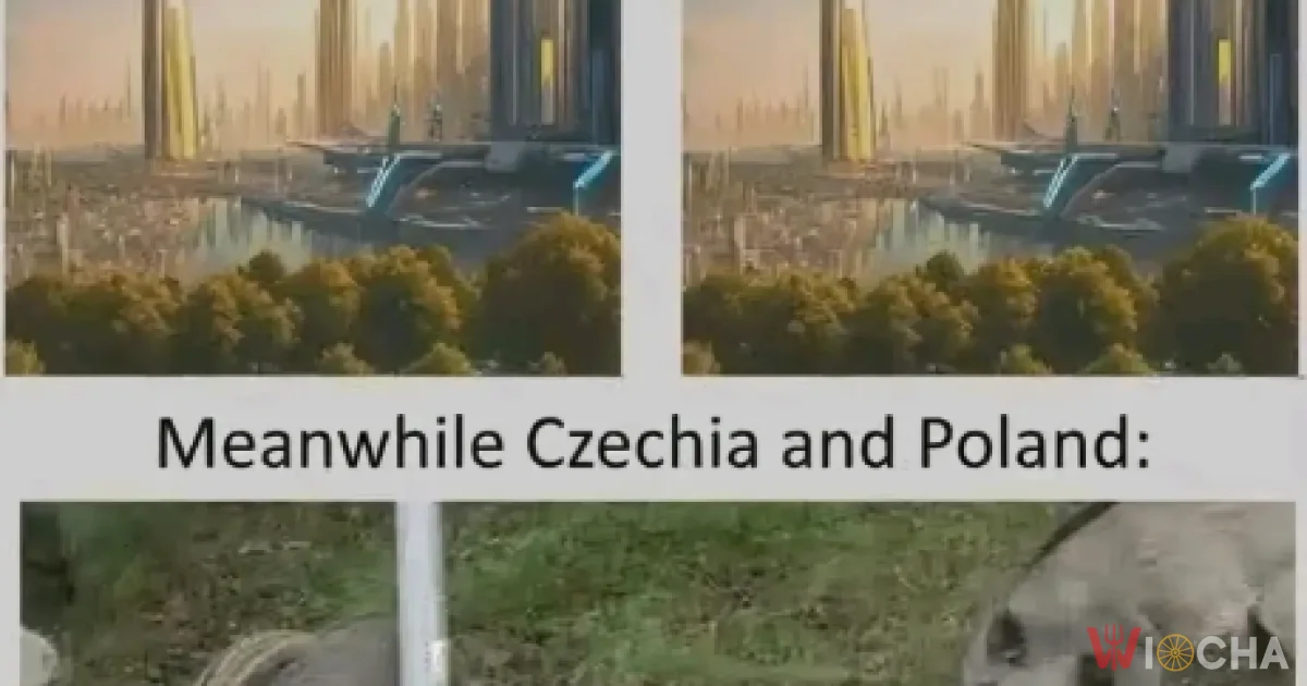 Kto się boi dzików?