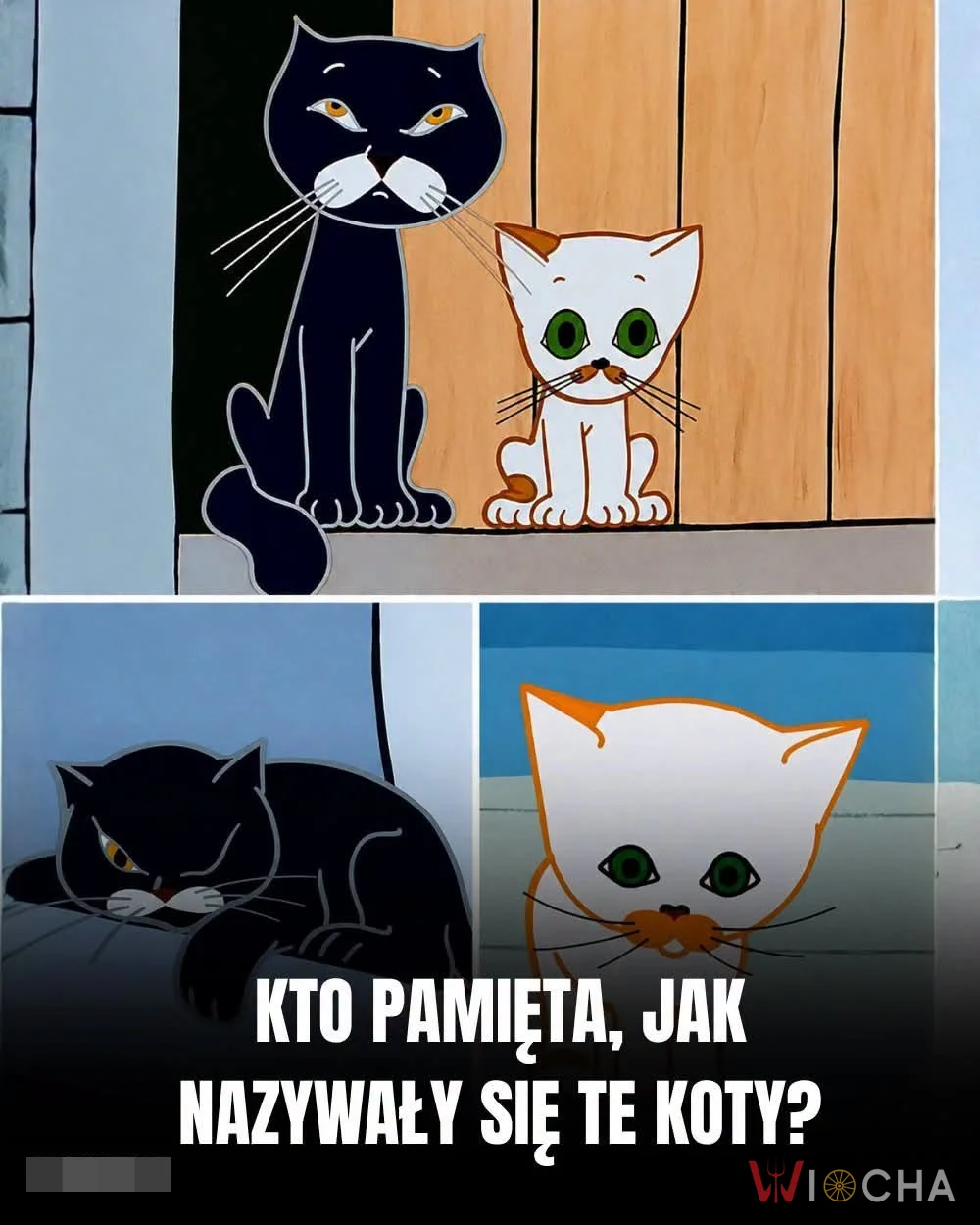 Koty z dzieciństwa