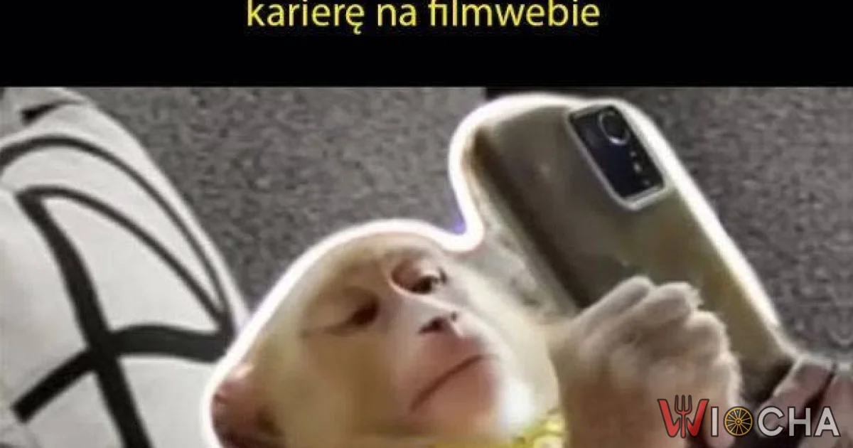 Ktoś go zna?