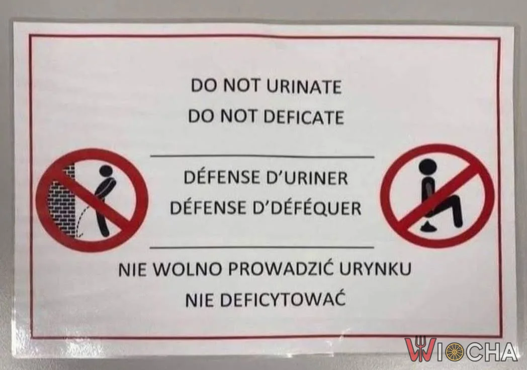 Zasady są proste
