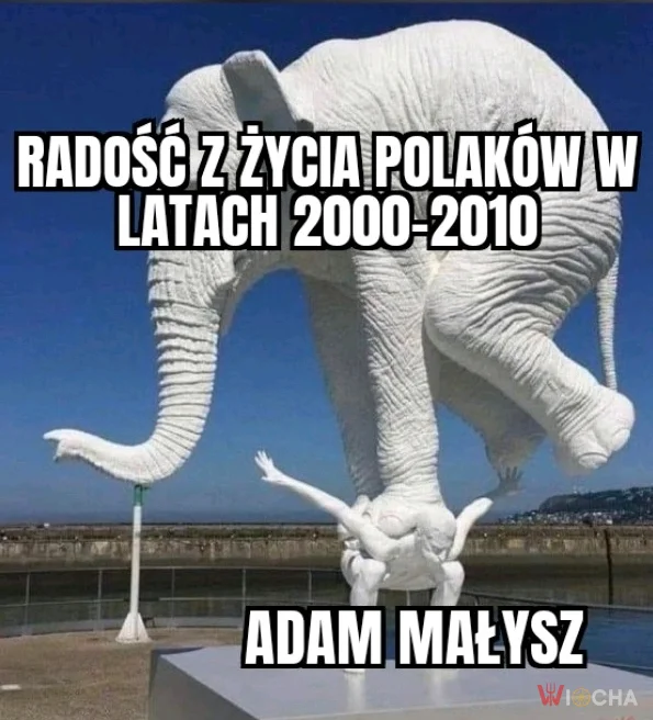 Leć Adaś, leć