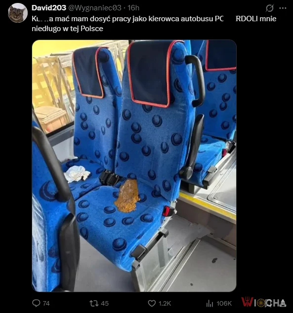 Kierowcy autobusów w Polsce