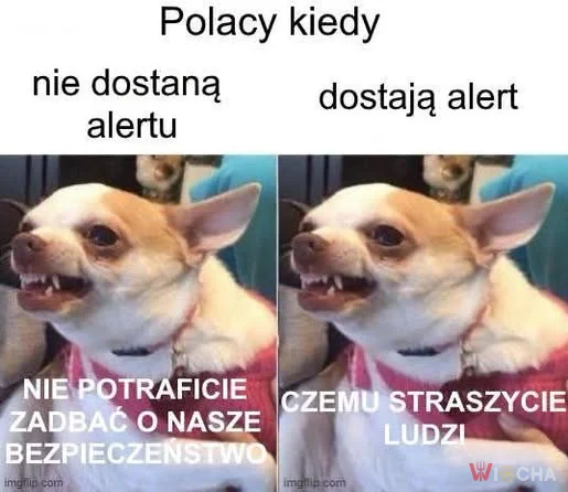 Polacy i alerty