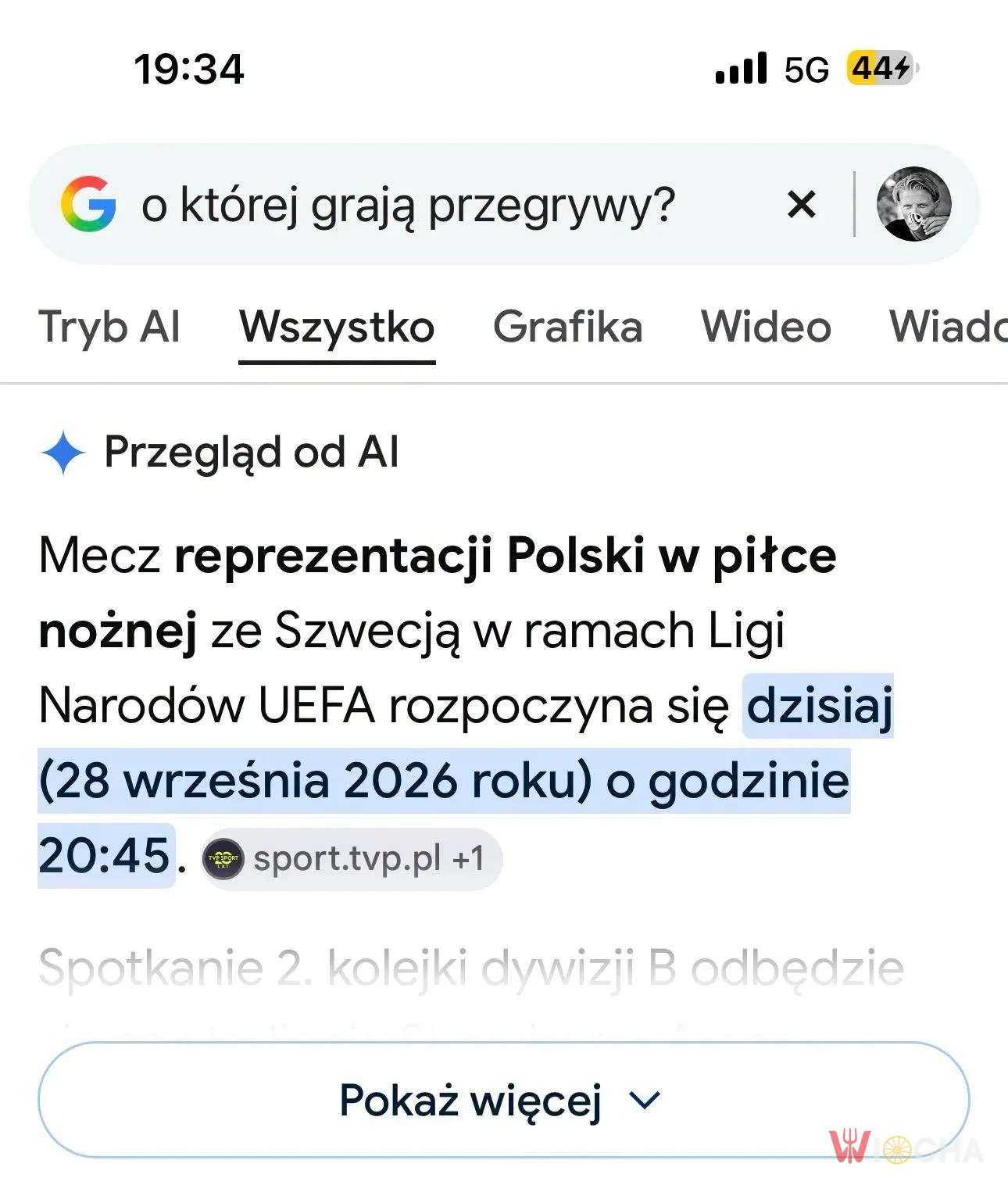 Nawet Google wie o kogo chodzi