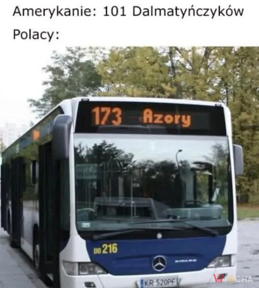 Polska wersja