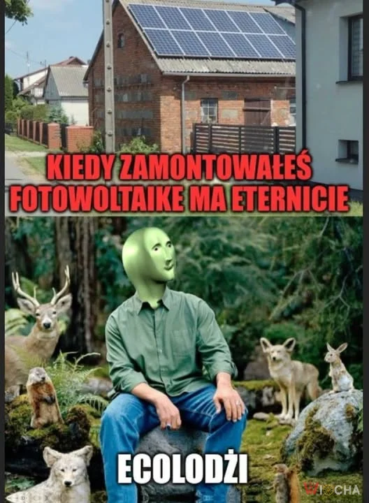 Panie i Panowie, ekologia