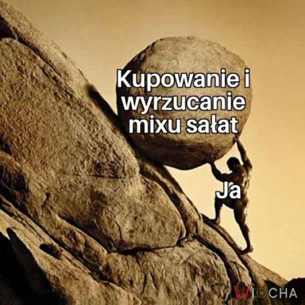 Sałatkowa walka