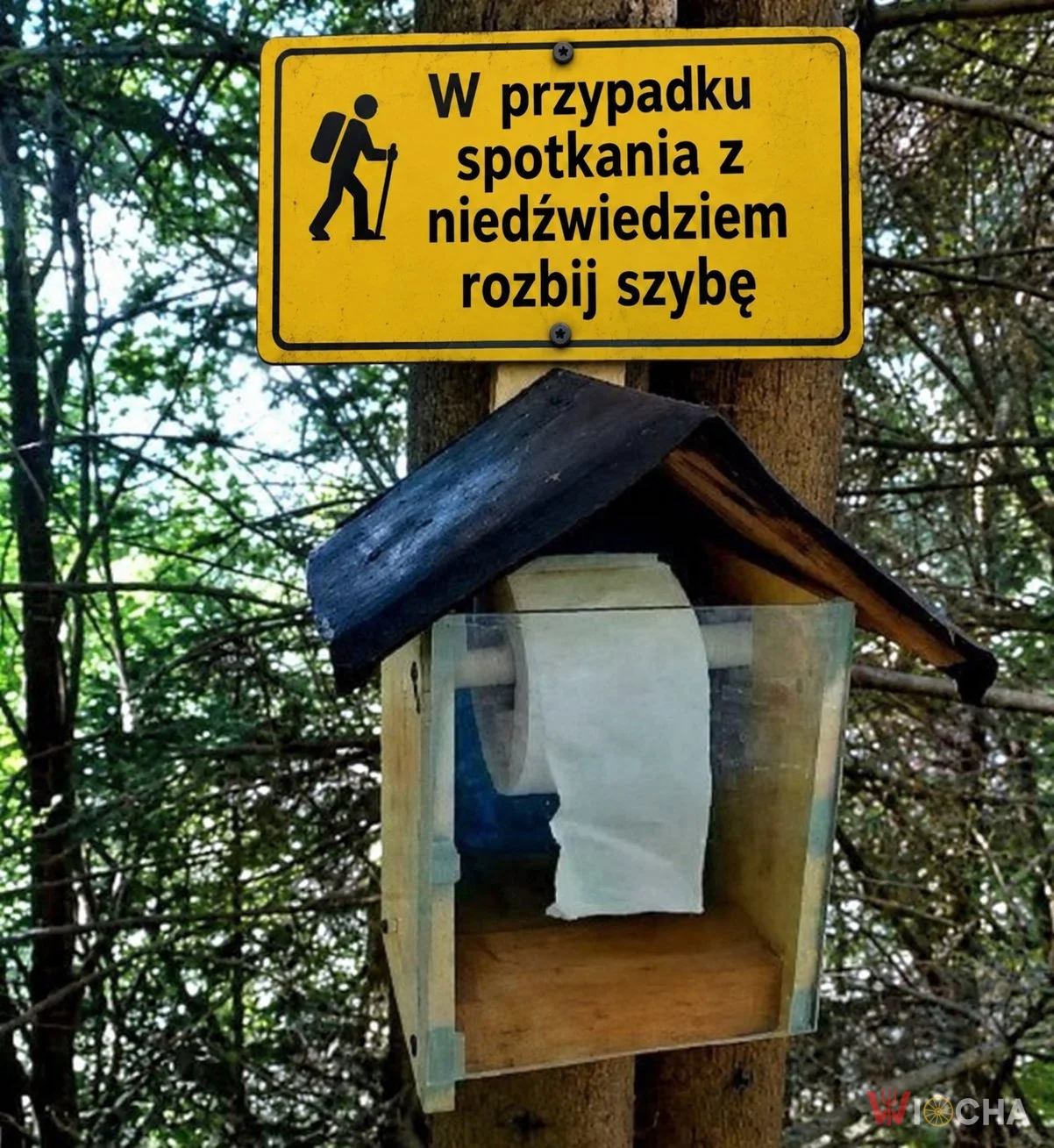 Polski survival