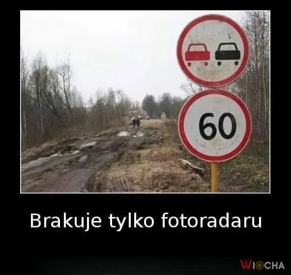 Polska w pigułce